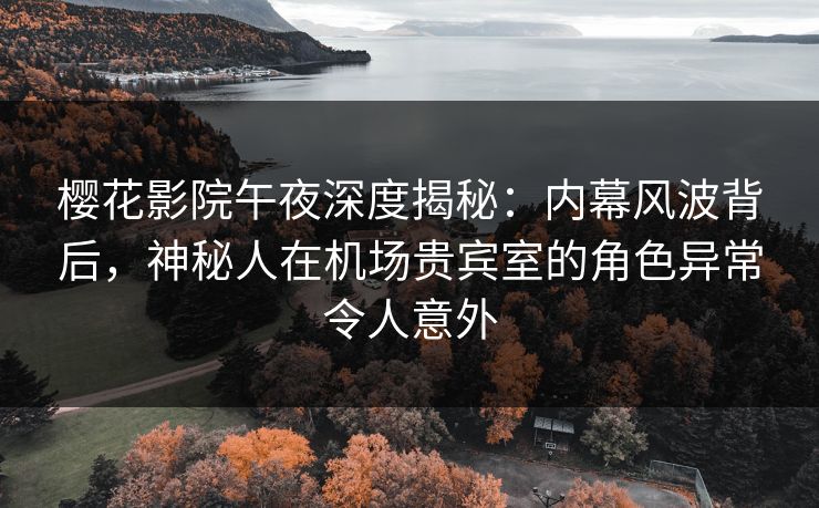 樱花影院午夜深度揭秘：内幕风波背后，神秘人在机场贵宾室的角色异常令人意外