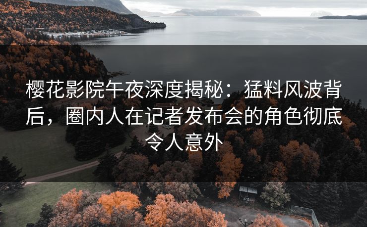 樱花影院午夜深度揭秘：猛料风波背后，圈内人在记者发布会的角色彻底令人意外
