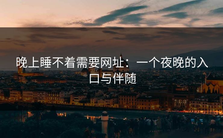 晚上睡不着需要网址：一个夜晚的入口与伴随