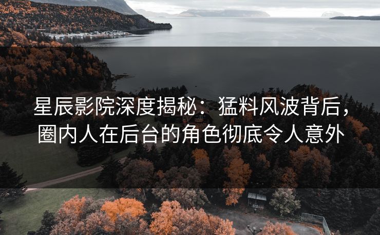 星辰影院深度揭秘：猛料风波背后，圈内人在后台的角色彻底令人意外