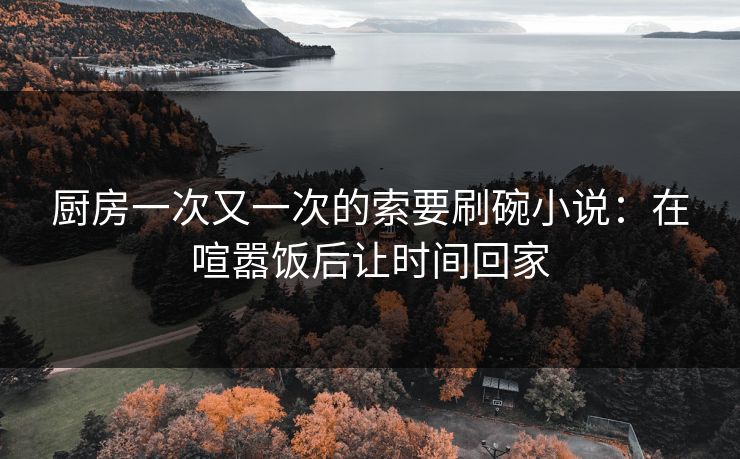 厨房一次又一次的索要刷碗小说:在喧嚣饭后让时间回家 厨房一次又一次的索要刷碗小说:在喧嚣饭后让时间回家